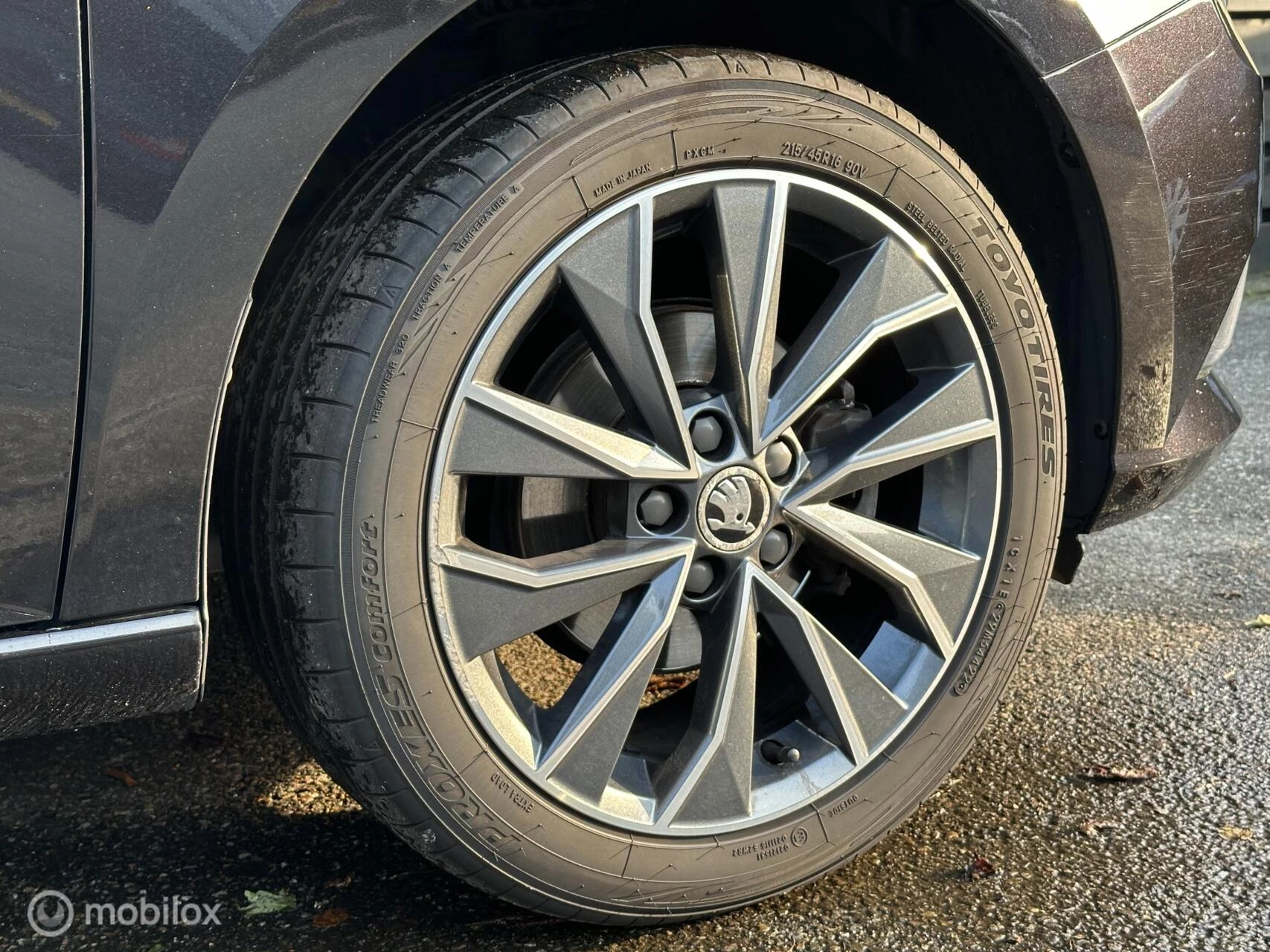 Hoofdafbeelding Škoda Fabia