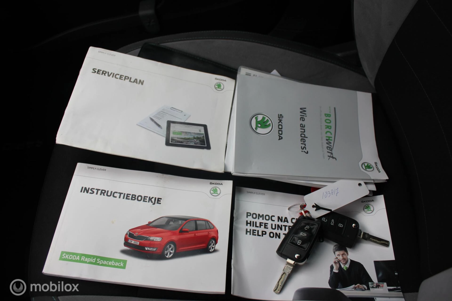 Hoofdafbeelding Škoda Rapid