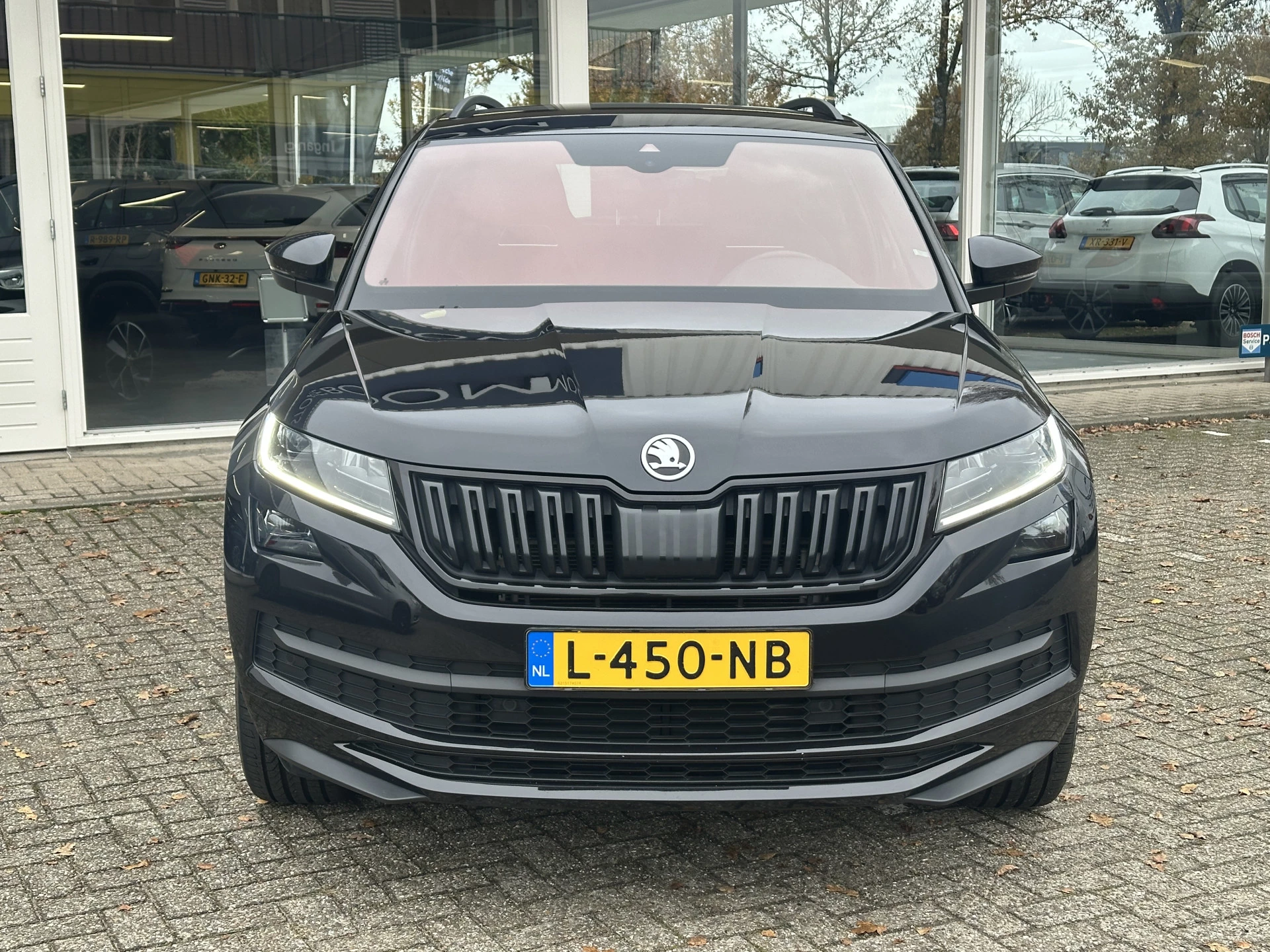 Hoofdafbeelding Škoda Kodiaq