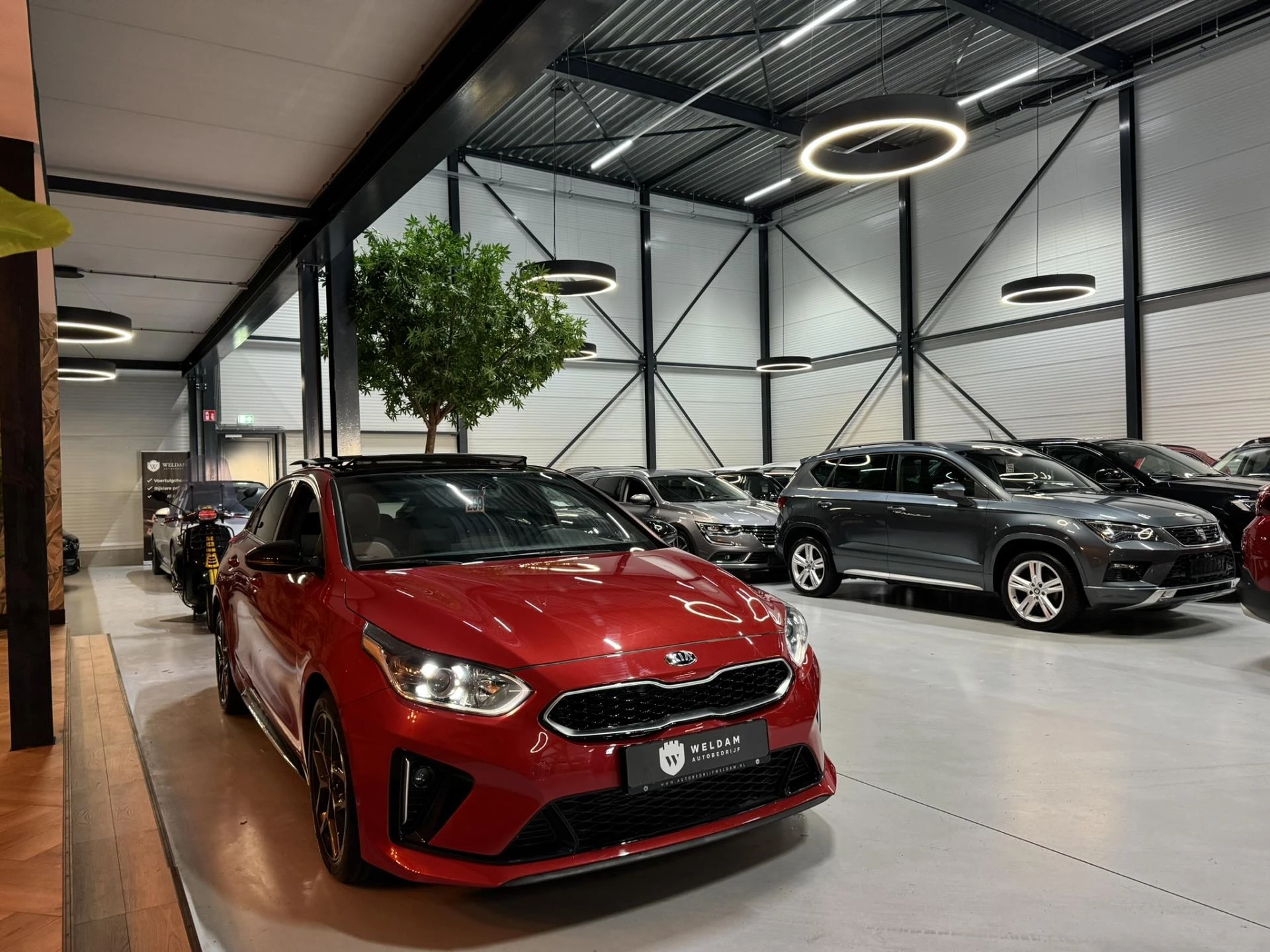 Hoofdafbeelding Kia ProCeed