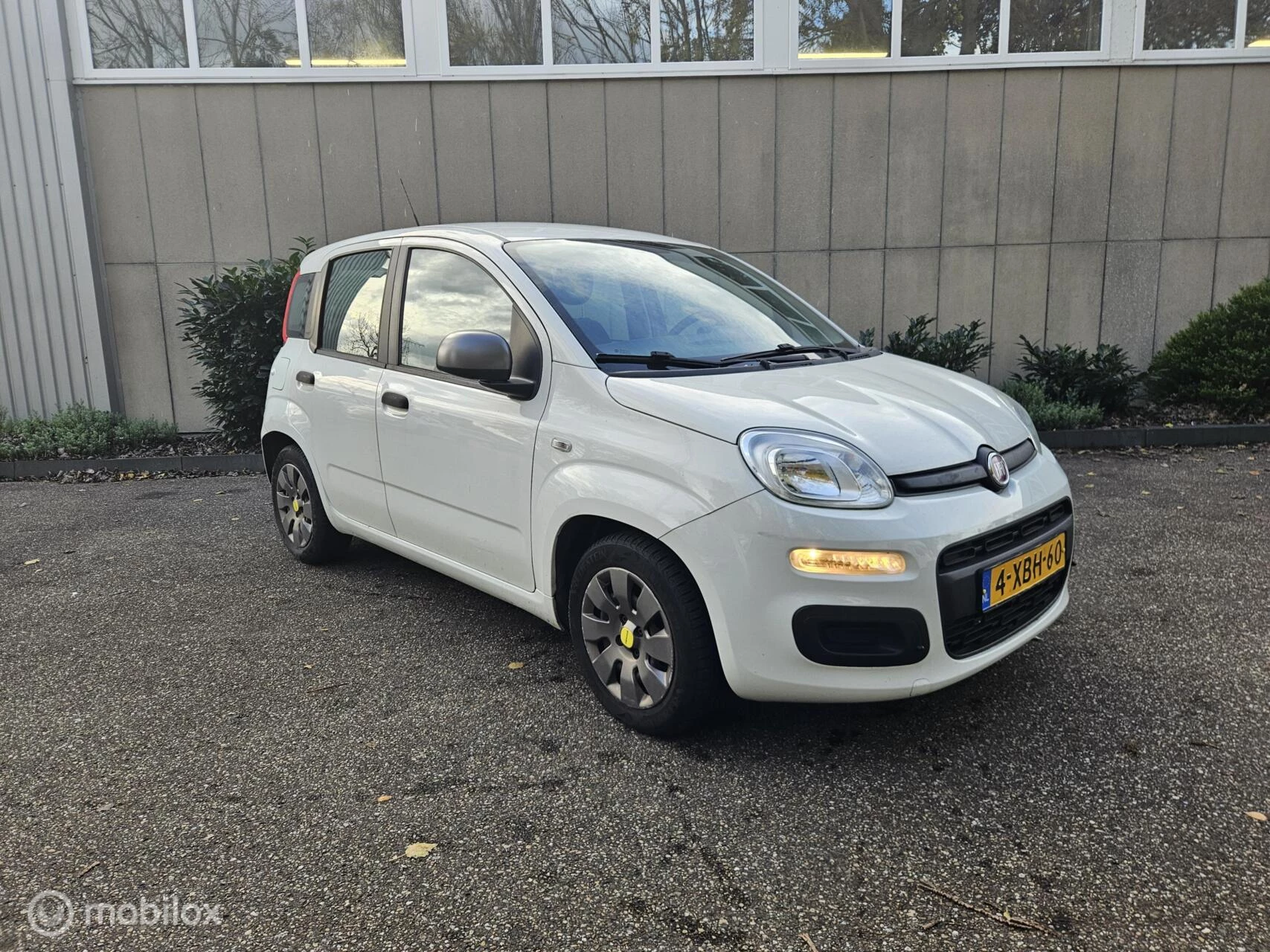 Hoofdafbeelding Fiat Panda