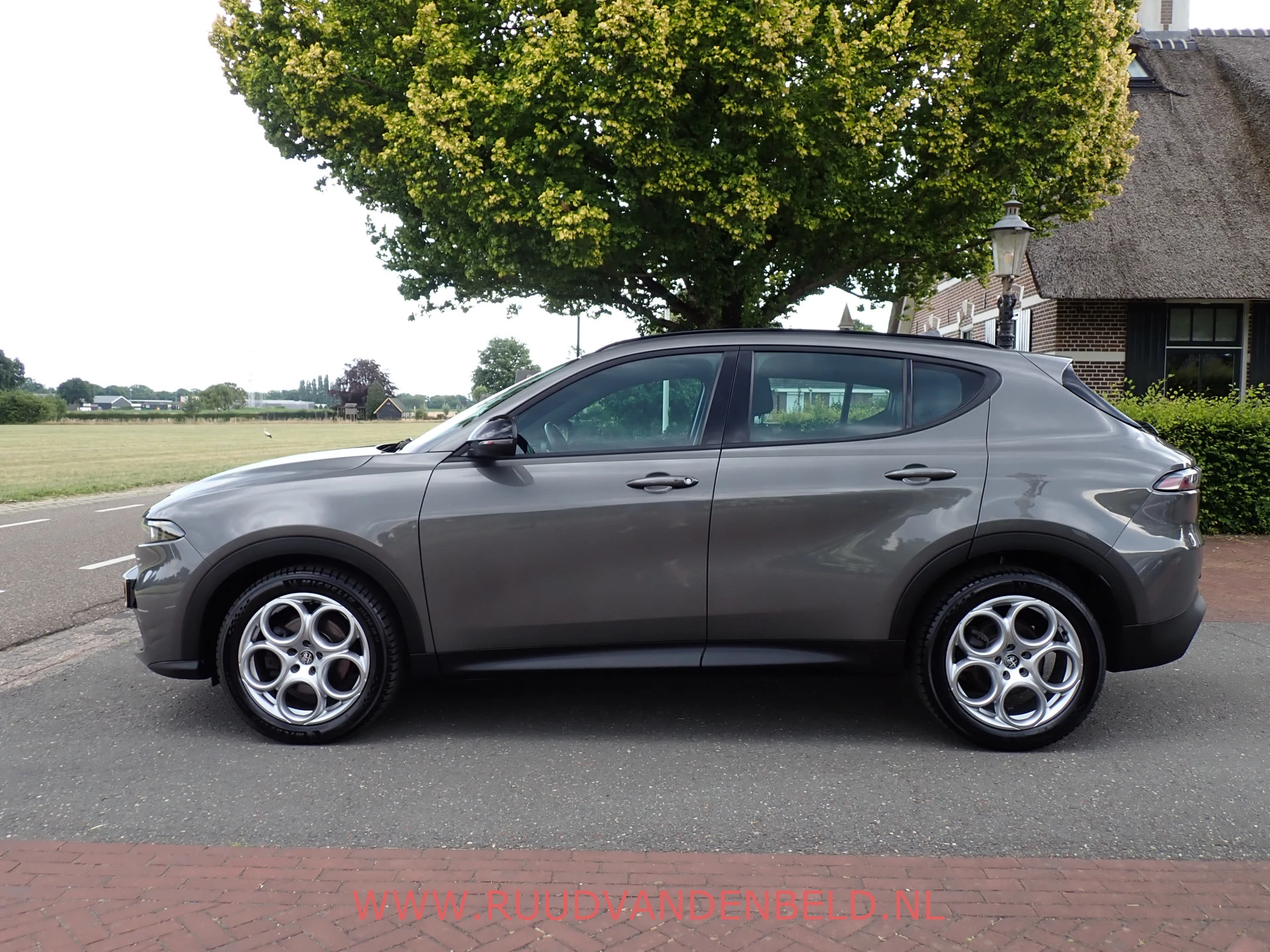 Hoofdafbeelding Alfa Romeo Tonale