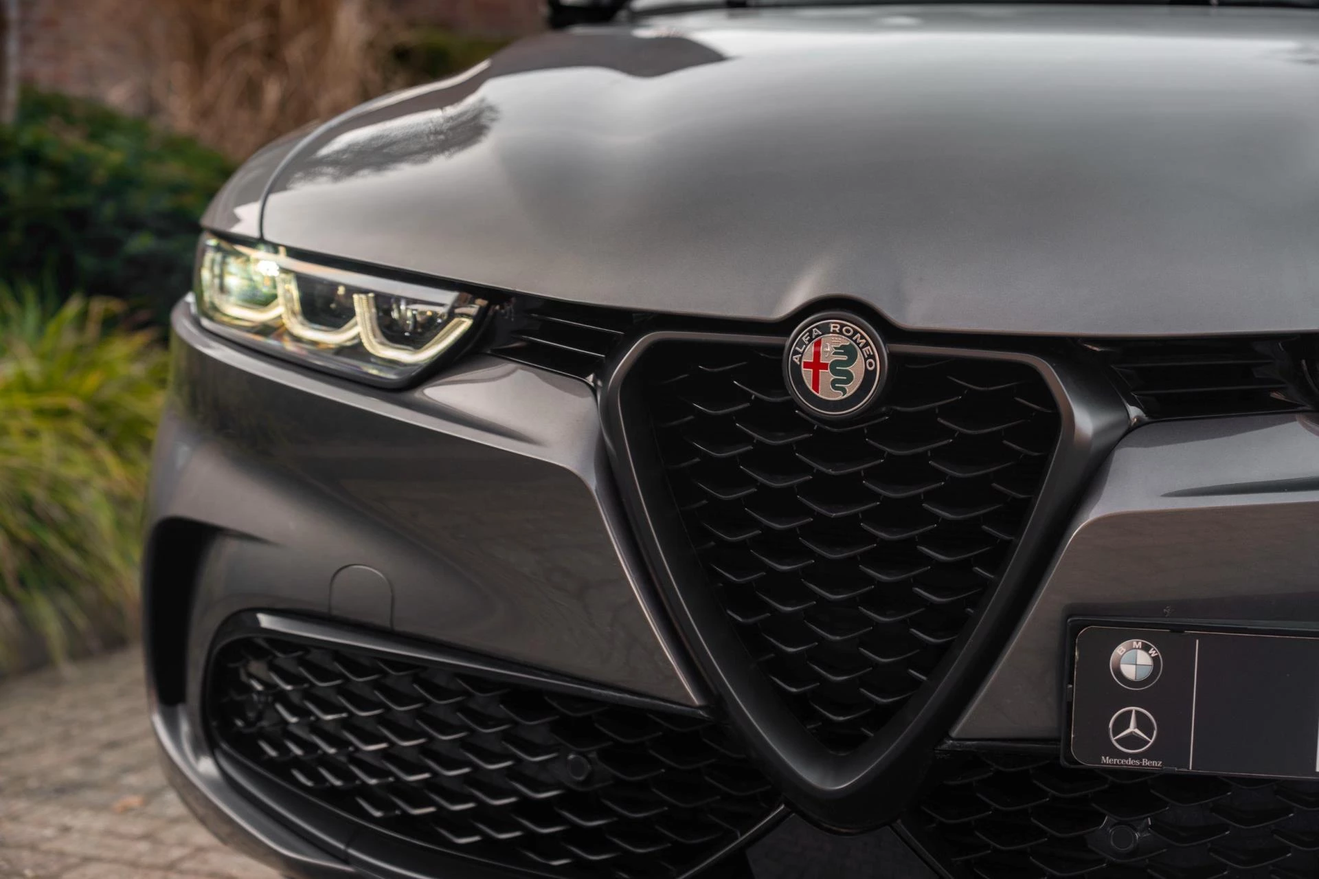 Hoofdafbeelding Alfa Romeo Tonale