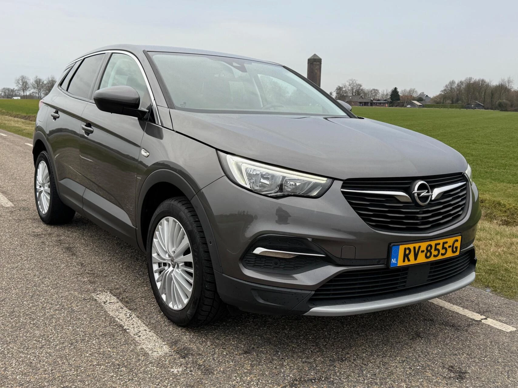 Hoofdafbeelding Opel Grandland X