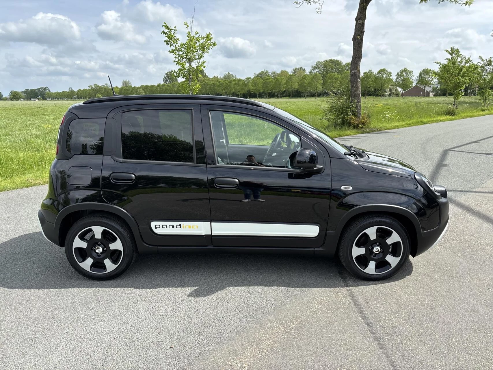 Hoofdafbeelding Fiat Panda