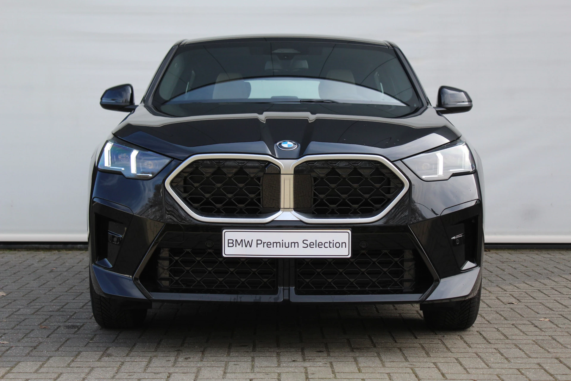 Hoofdafbeelding BMW X2