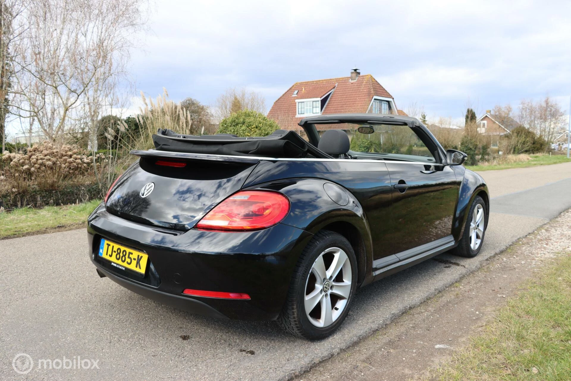 Hoofdafbeelding Volkswagen Beetle