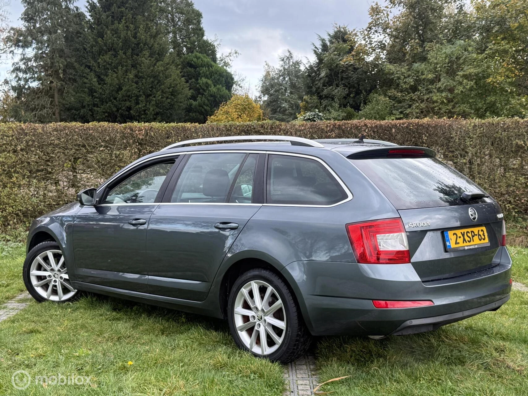 Hoofdafbeelding Škoda Octavia