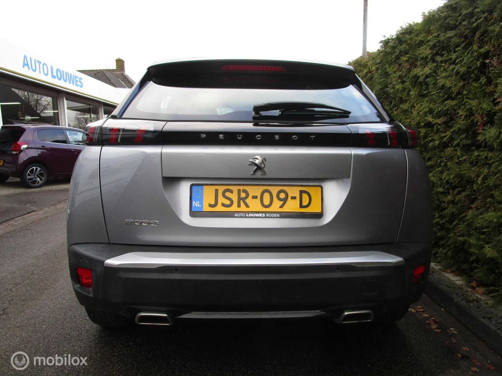 Hoofdafbeelding Peugeot 2008