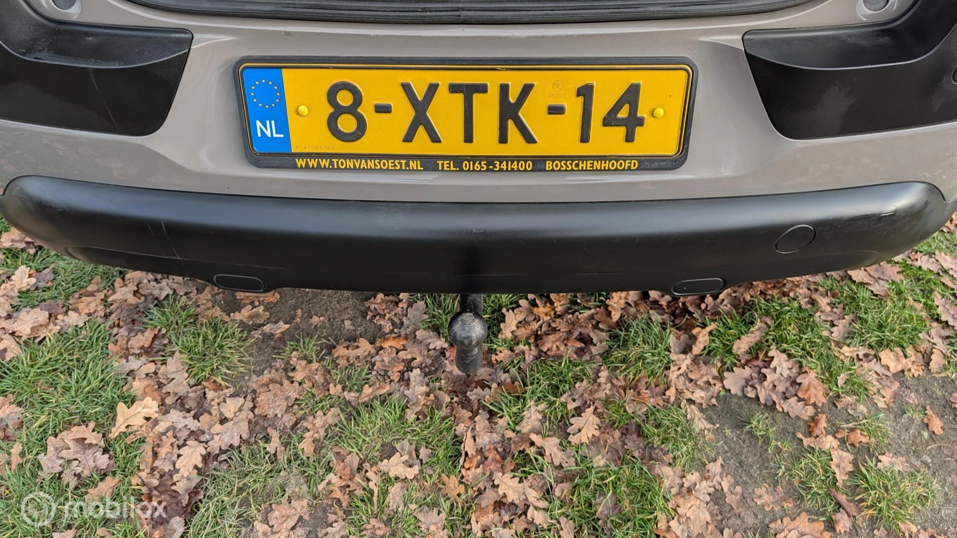 Hoofdafbeelding Citroën C4 Cactus