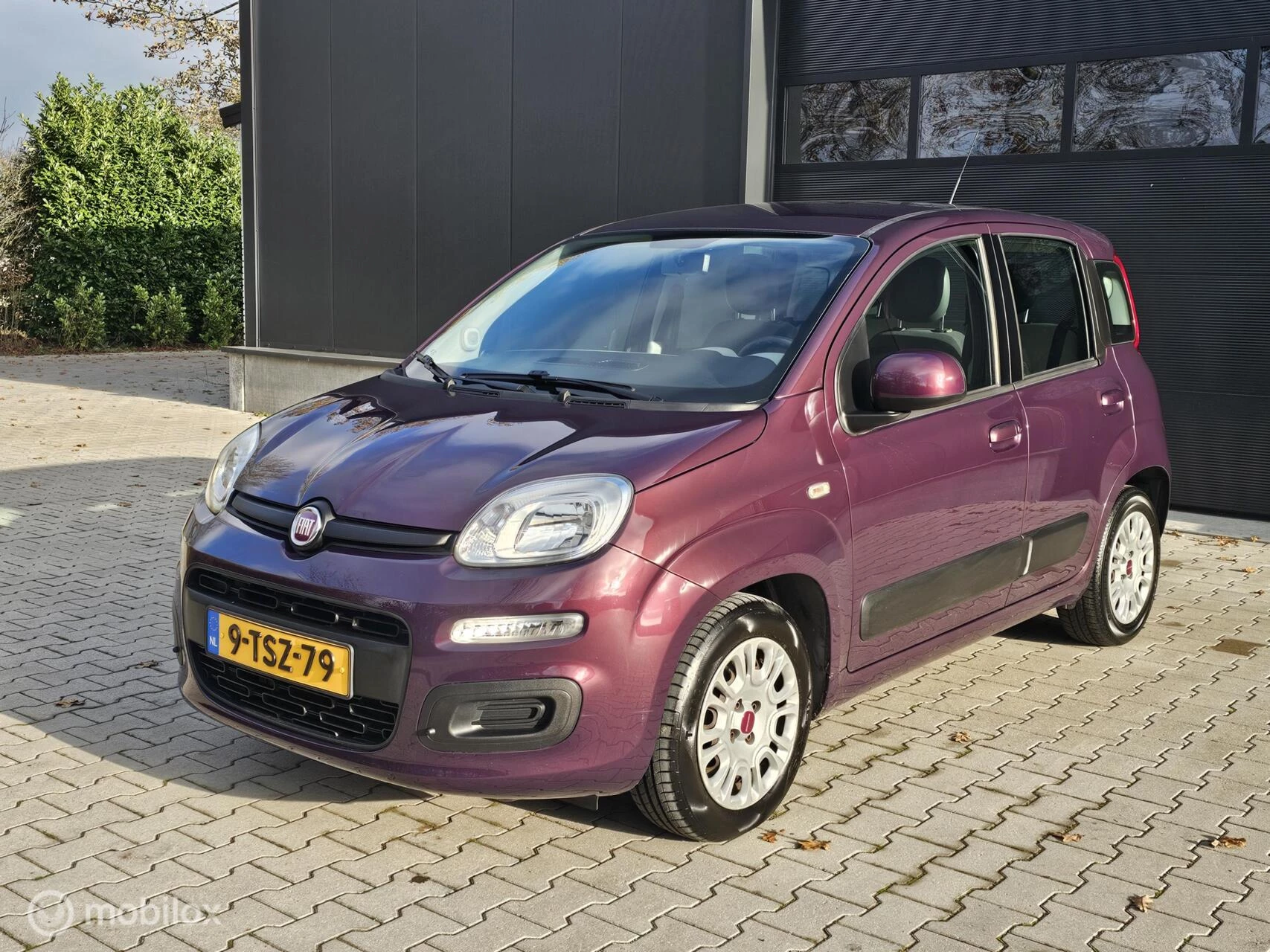 Hoofdafbeelding Fiat Panda