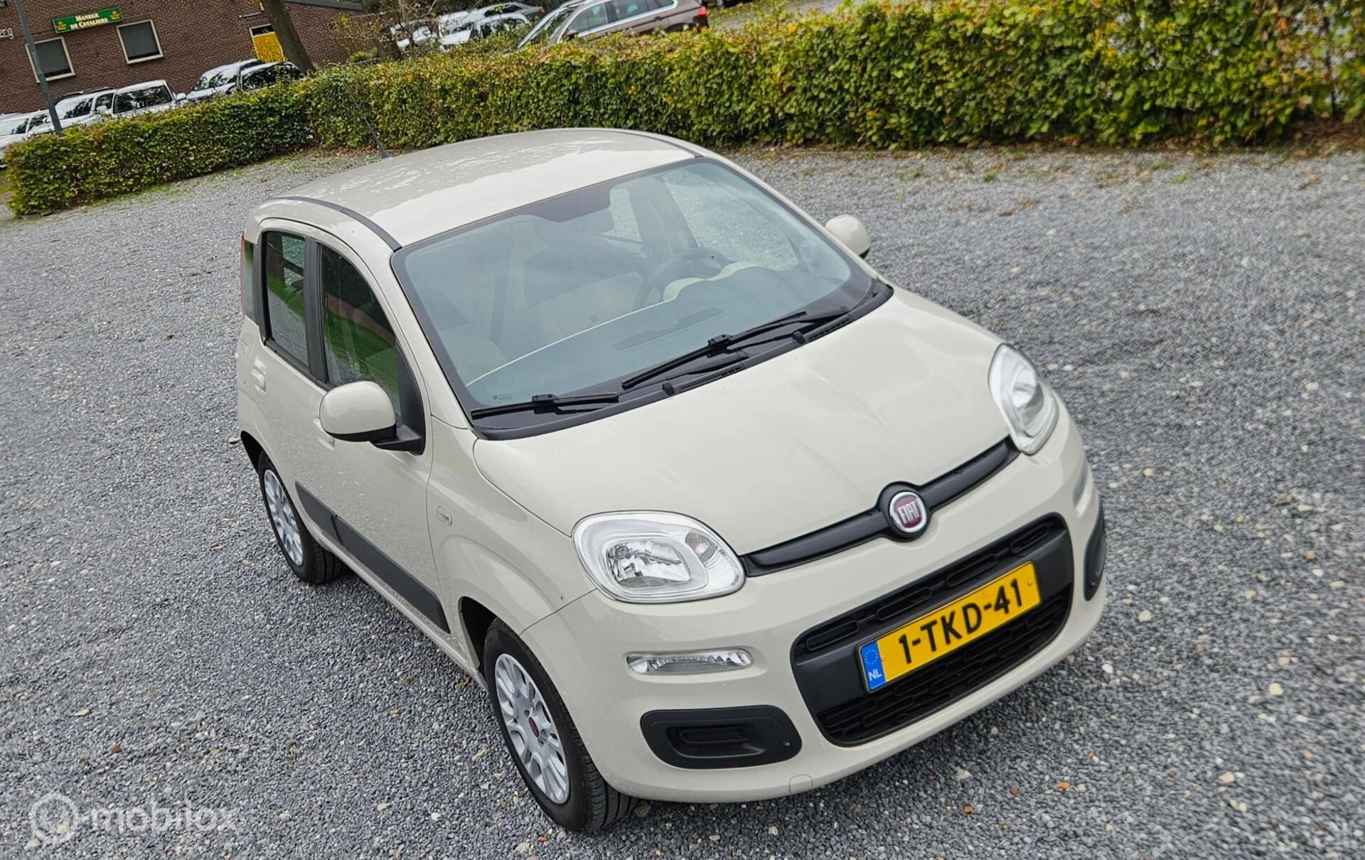 Hoofdafbeelding Fiat Panda
