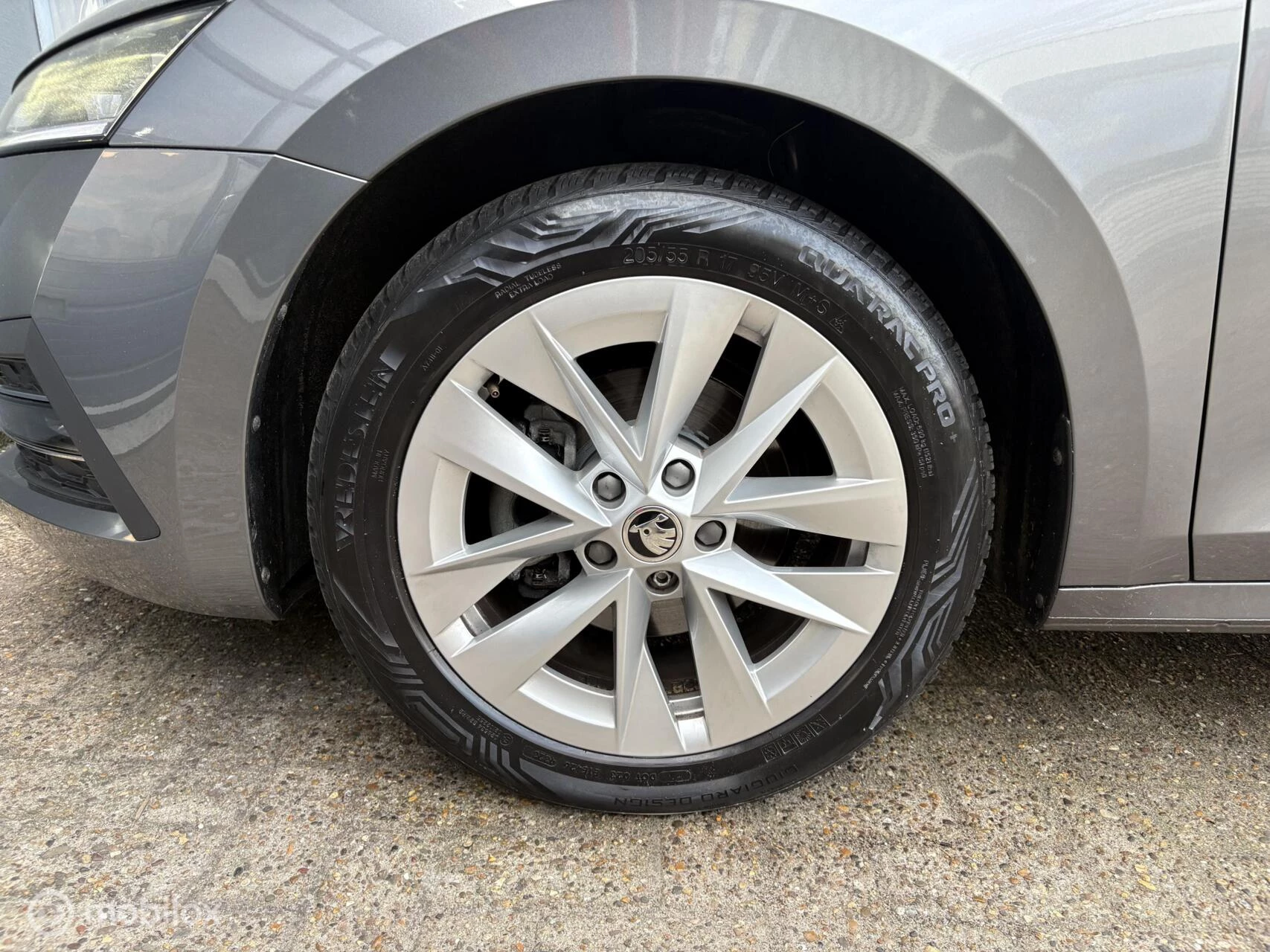 Hoofdafbeelding Škoda Octavia