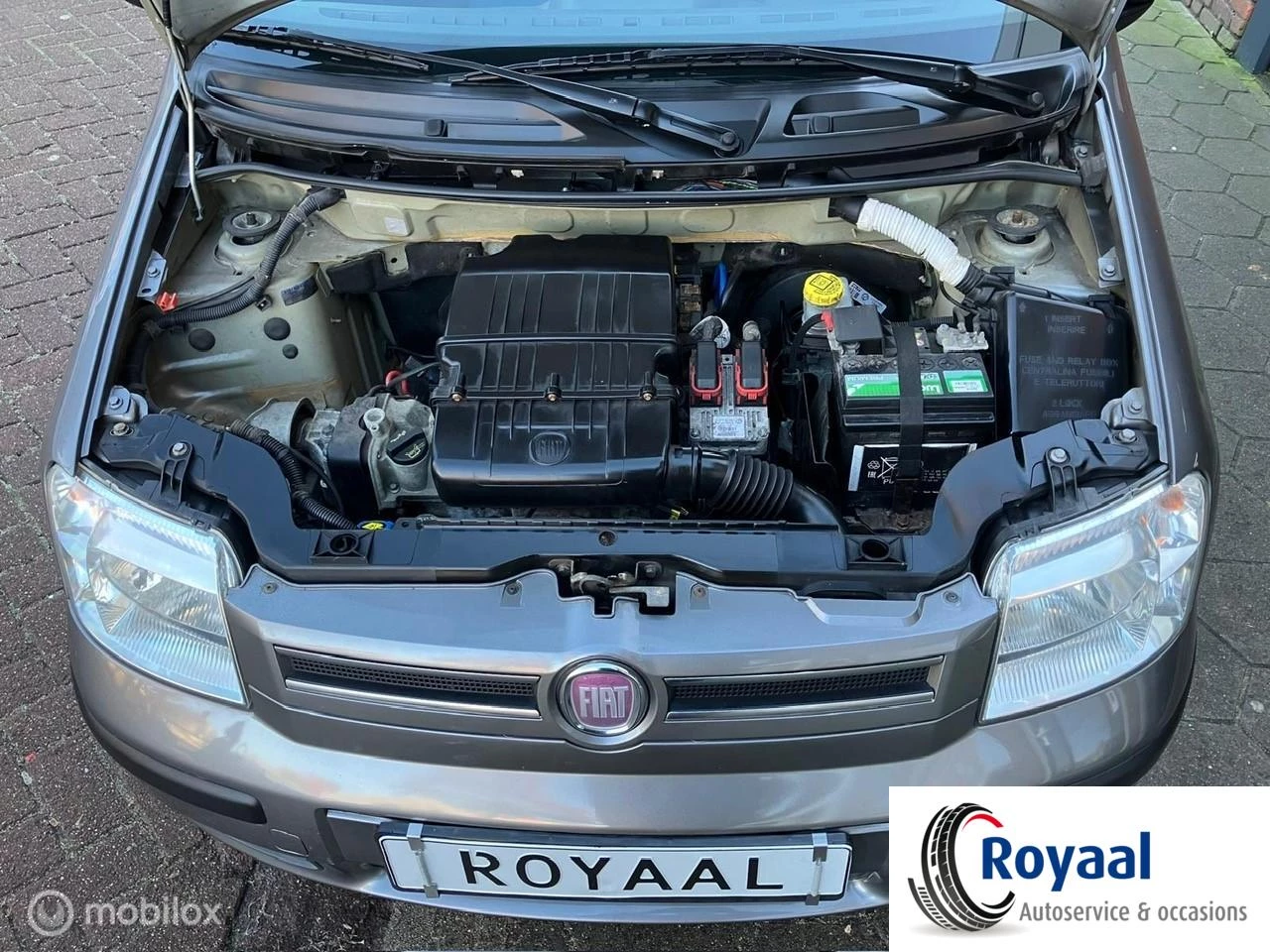 Hoofdafbeelding Fiat Panda