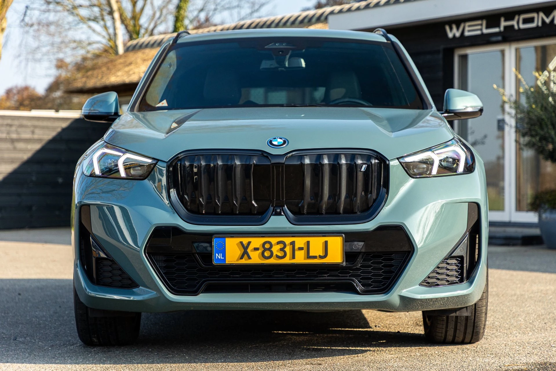 Hoofdafbeelding BMW iX1