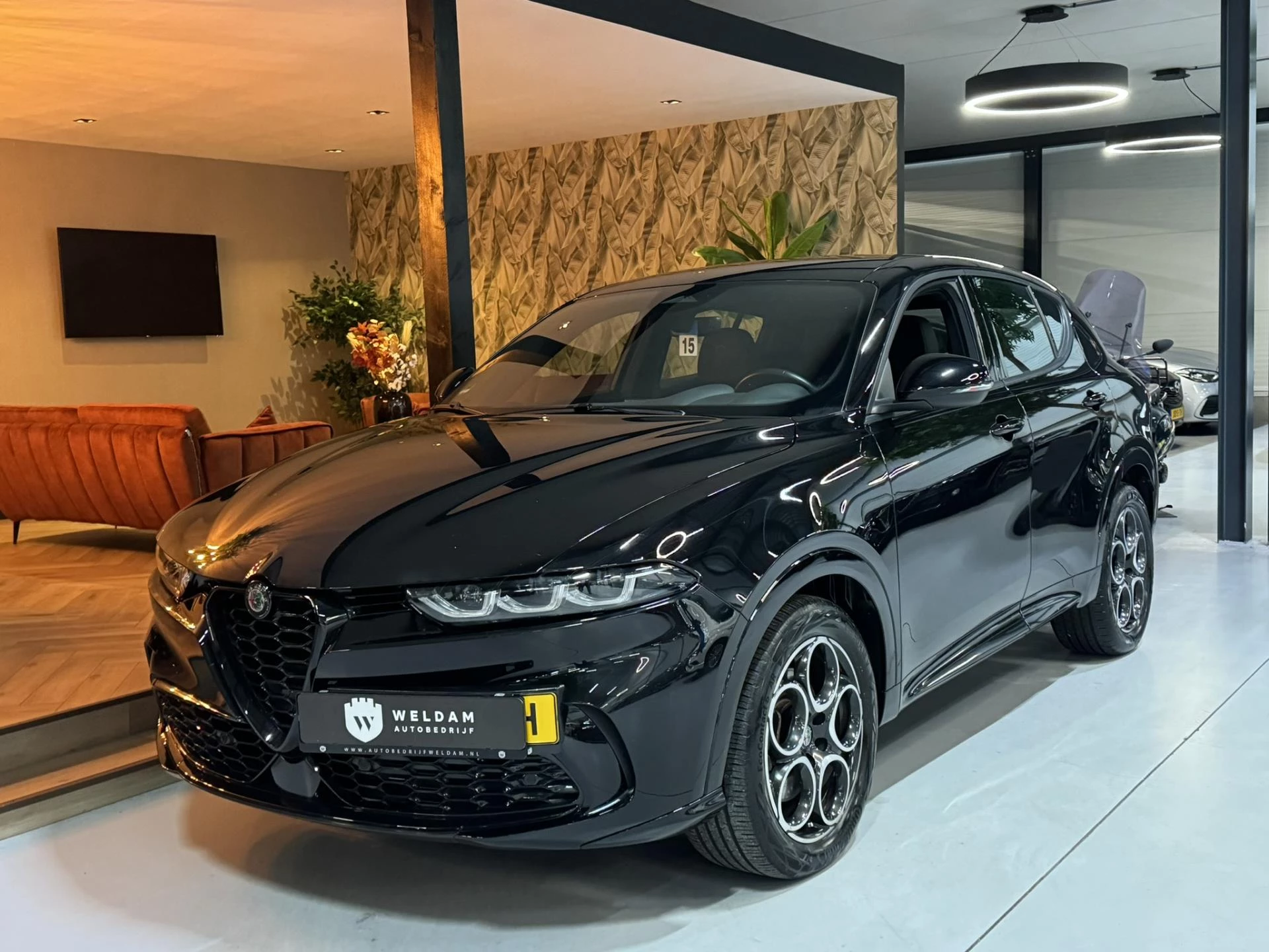 Hoofdafbeelding Alfa Romeo Tonale