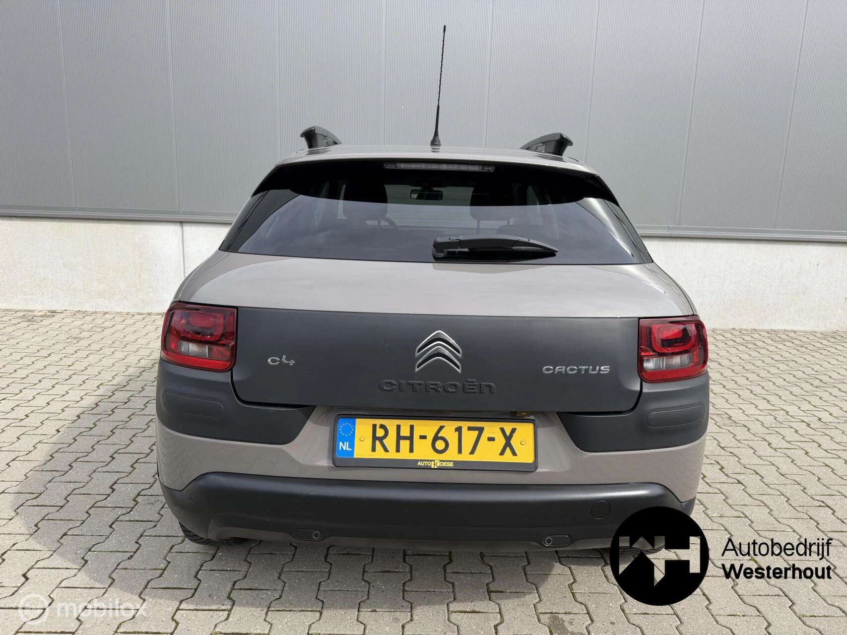 Hoofdafbeelding Citroën C4 Cactus