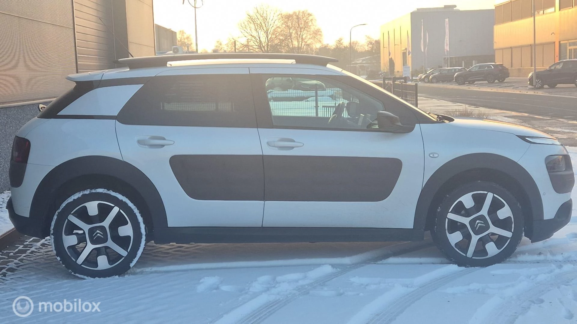 Hoofdafbeelding Citroën C4 Cactus