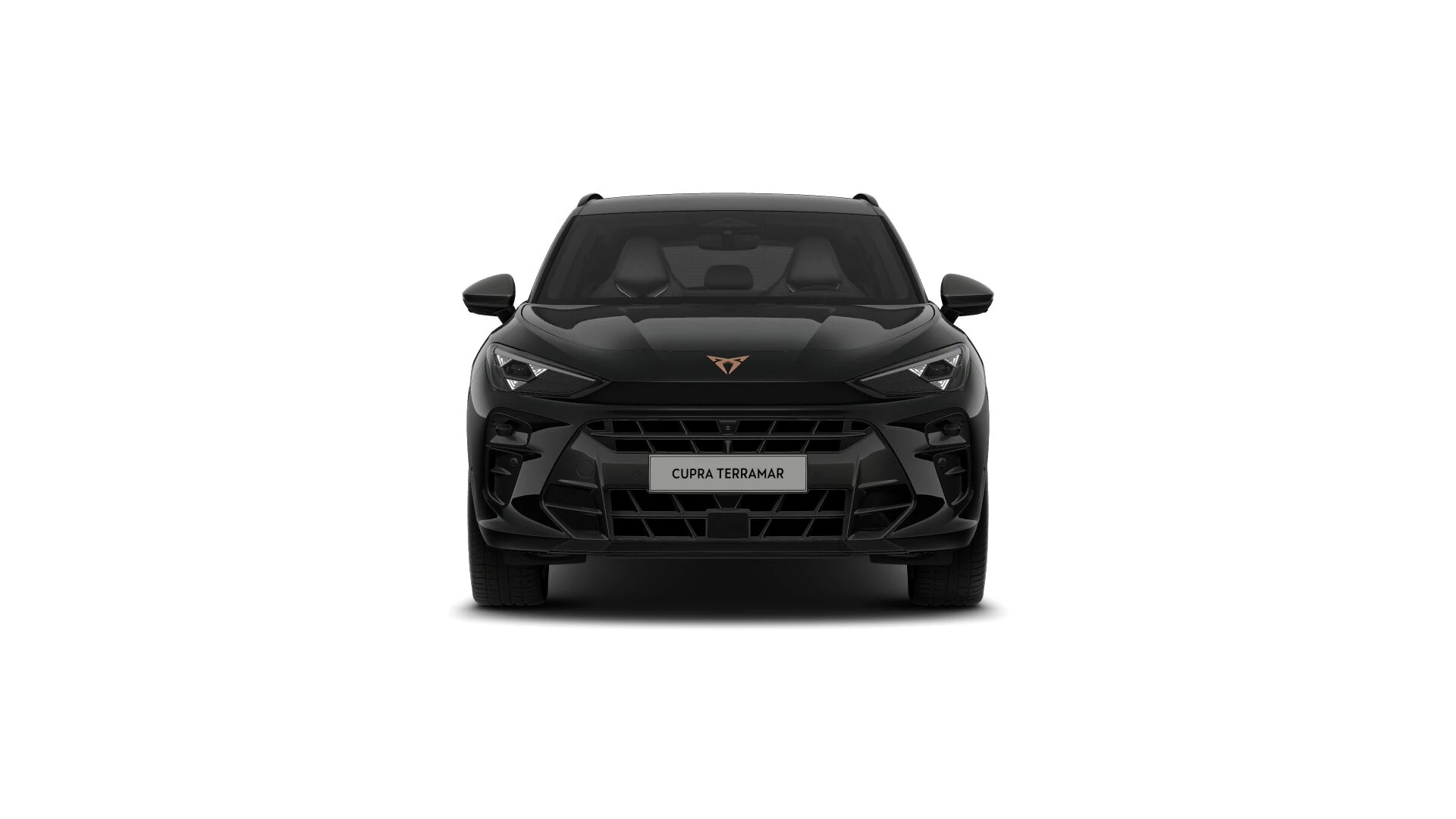 Hoofdafbeelding CUPRA Terramar