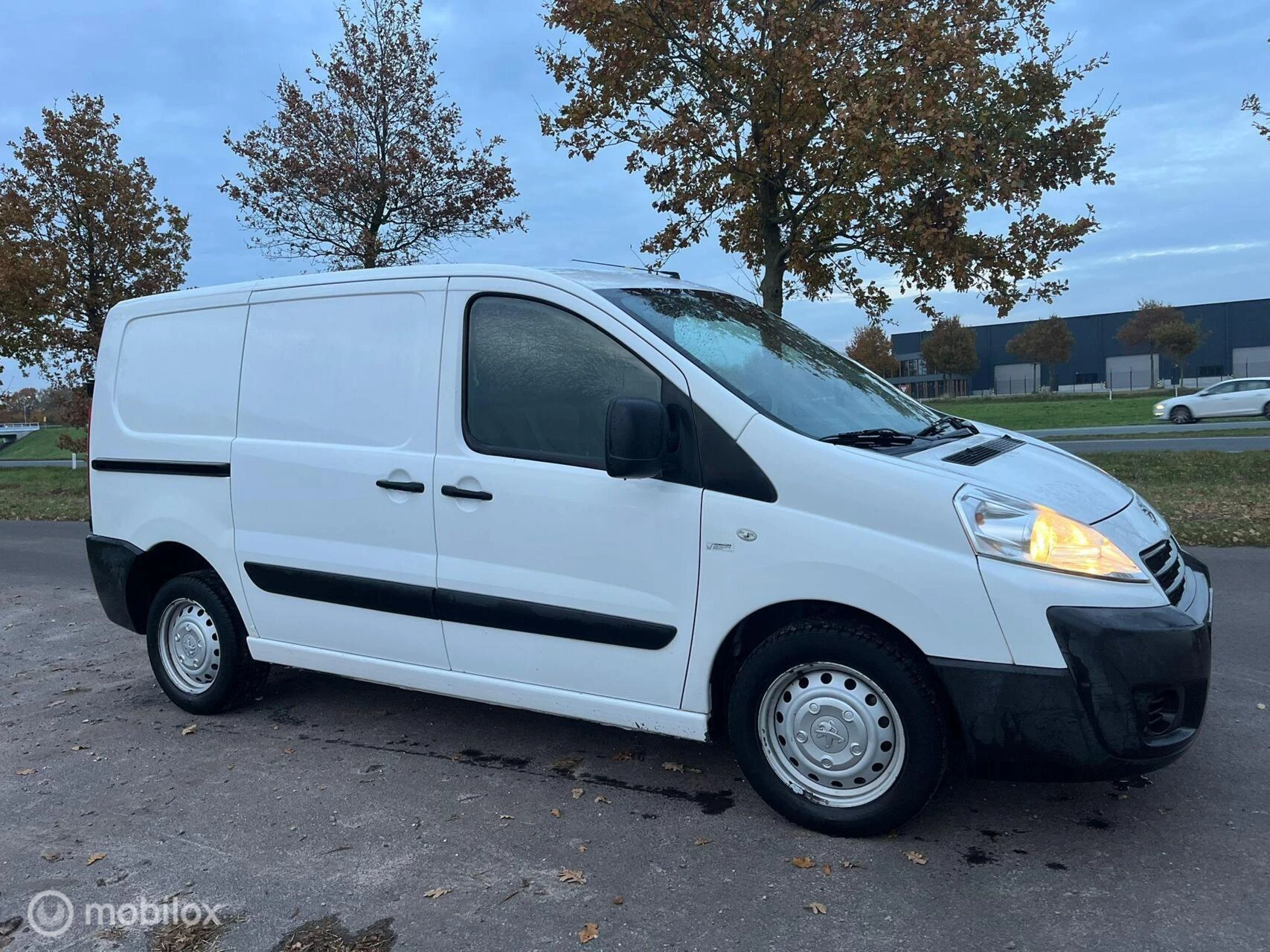 Hoofdafbeelding Peugeot Expert