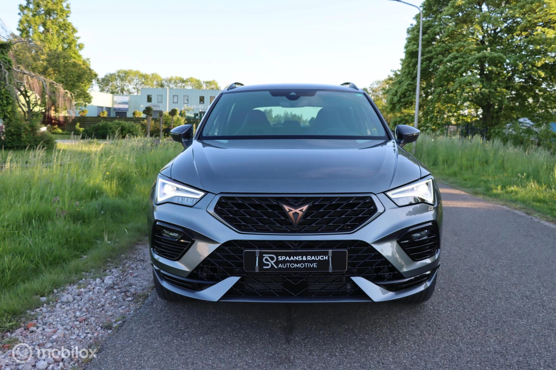 Hoofdafbeelding CUPRA Ateca