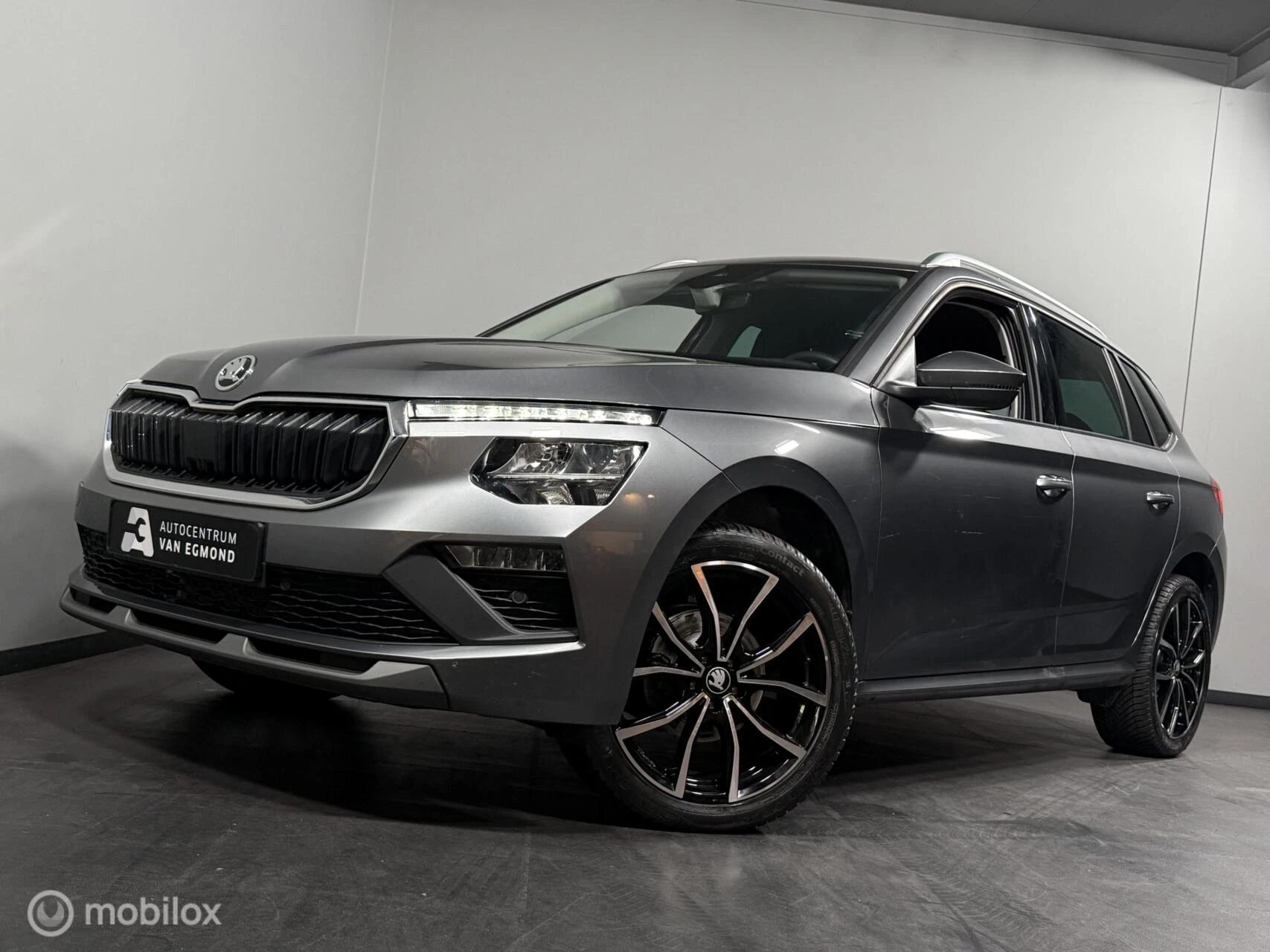 Hoofdafbeelding Škoda Kamiq