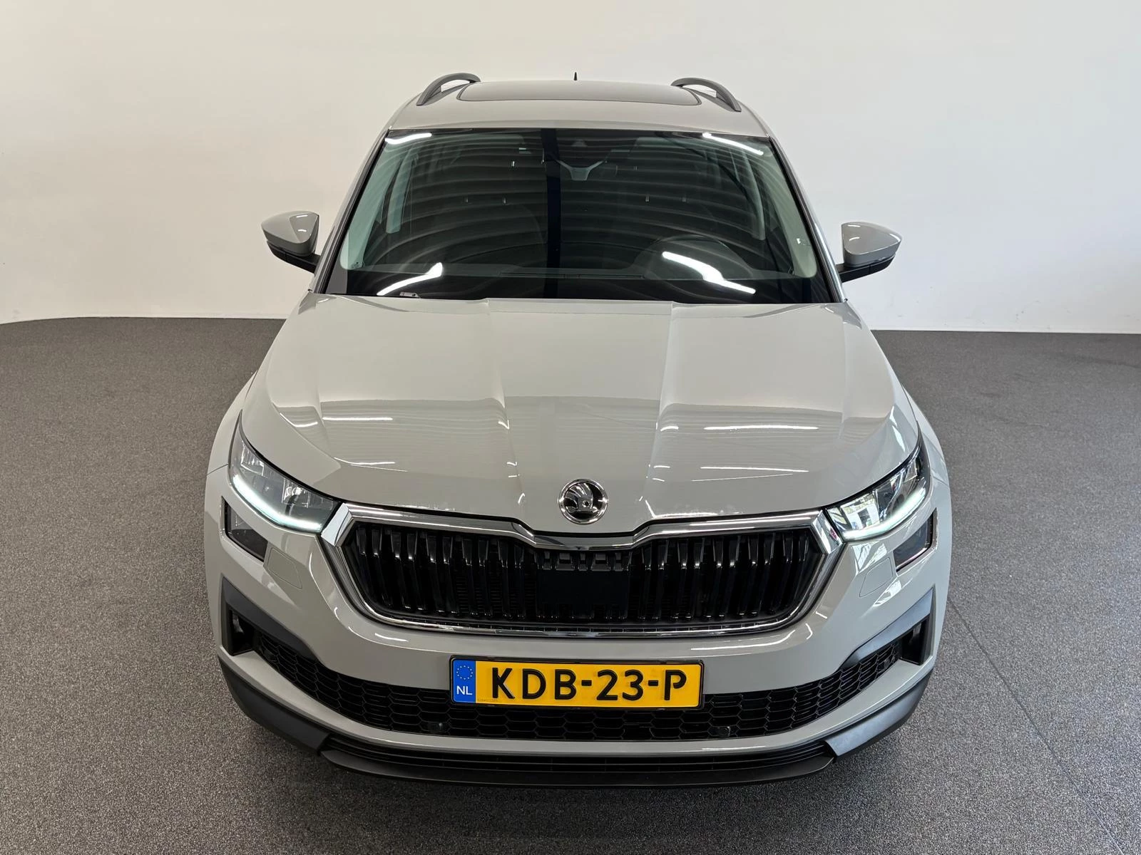 Hoofdafbeelding Škoda Kodiaq