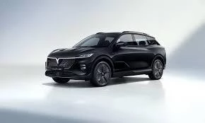 Hoofdafbeelding Voyah Courage