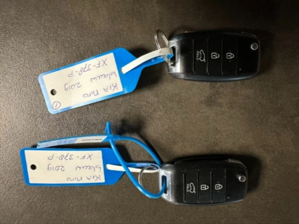 Hoofdafbeelding Kia Niro