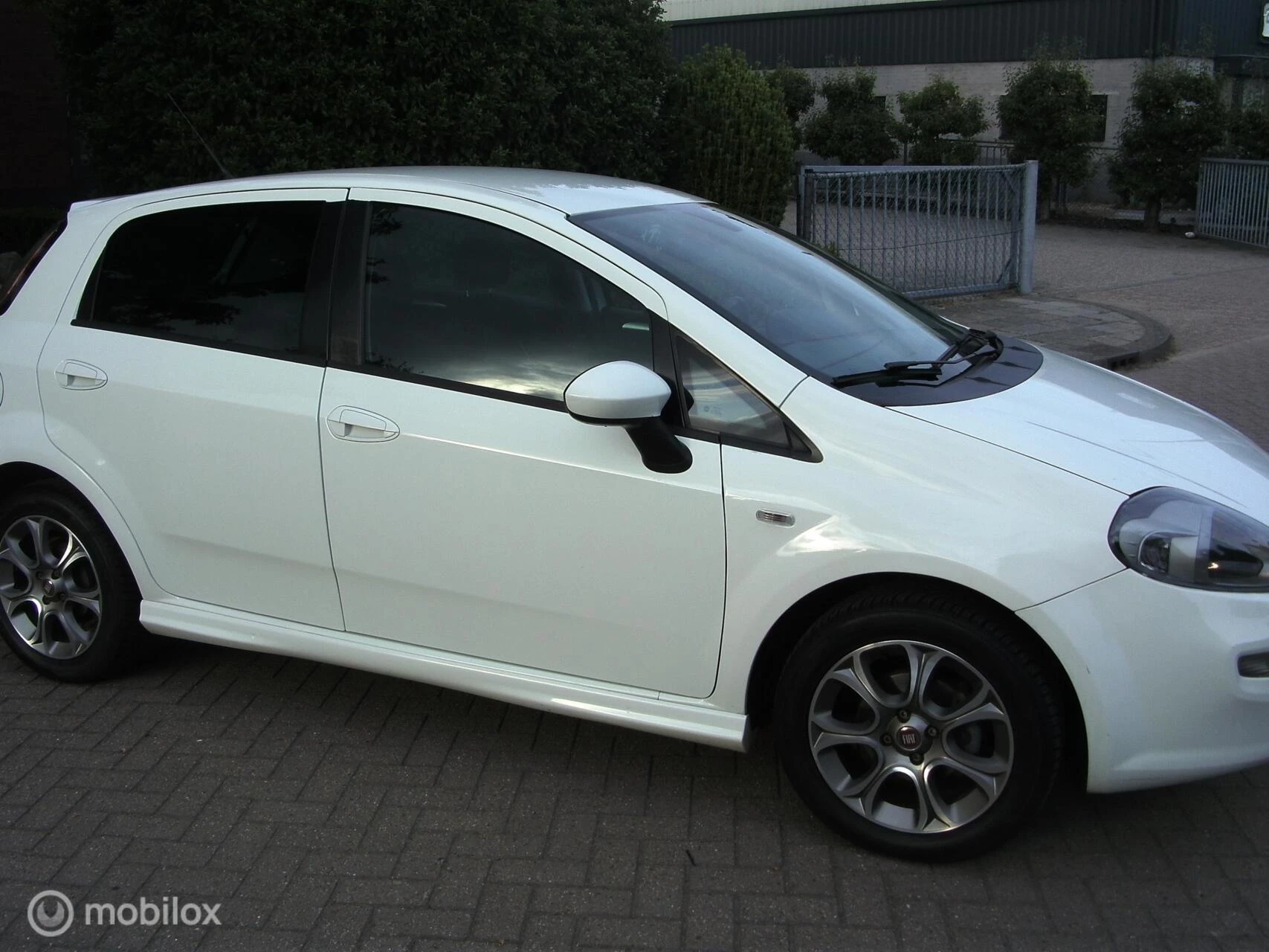 Hoofdafbeelding Fiat Punto