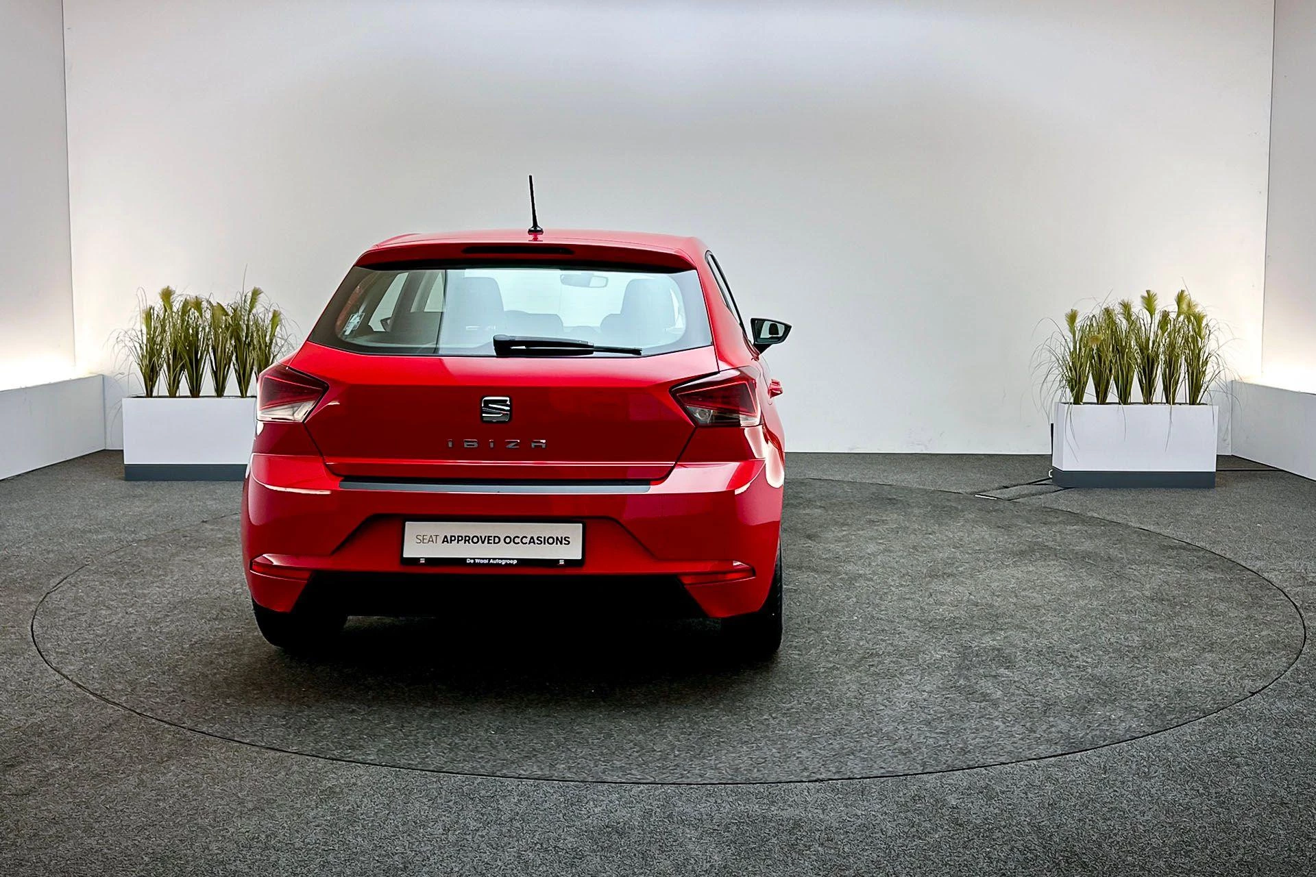 Hoofdafbeelding SEAT Ibiza