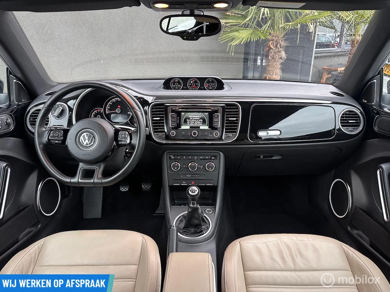 Hoofdafbeelding Volkswagen Beetle