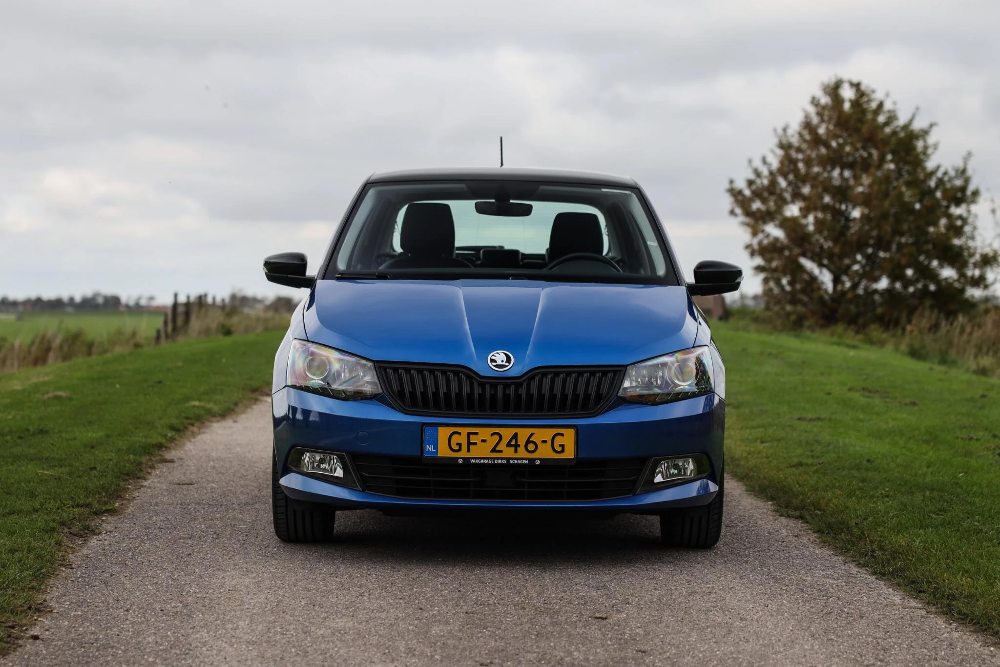 Hoofdafbeelding Škoda Fabia