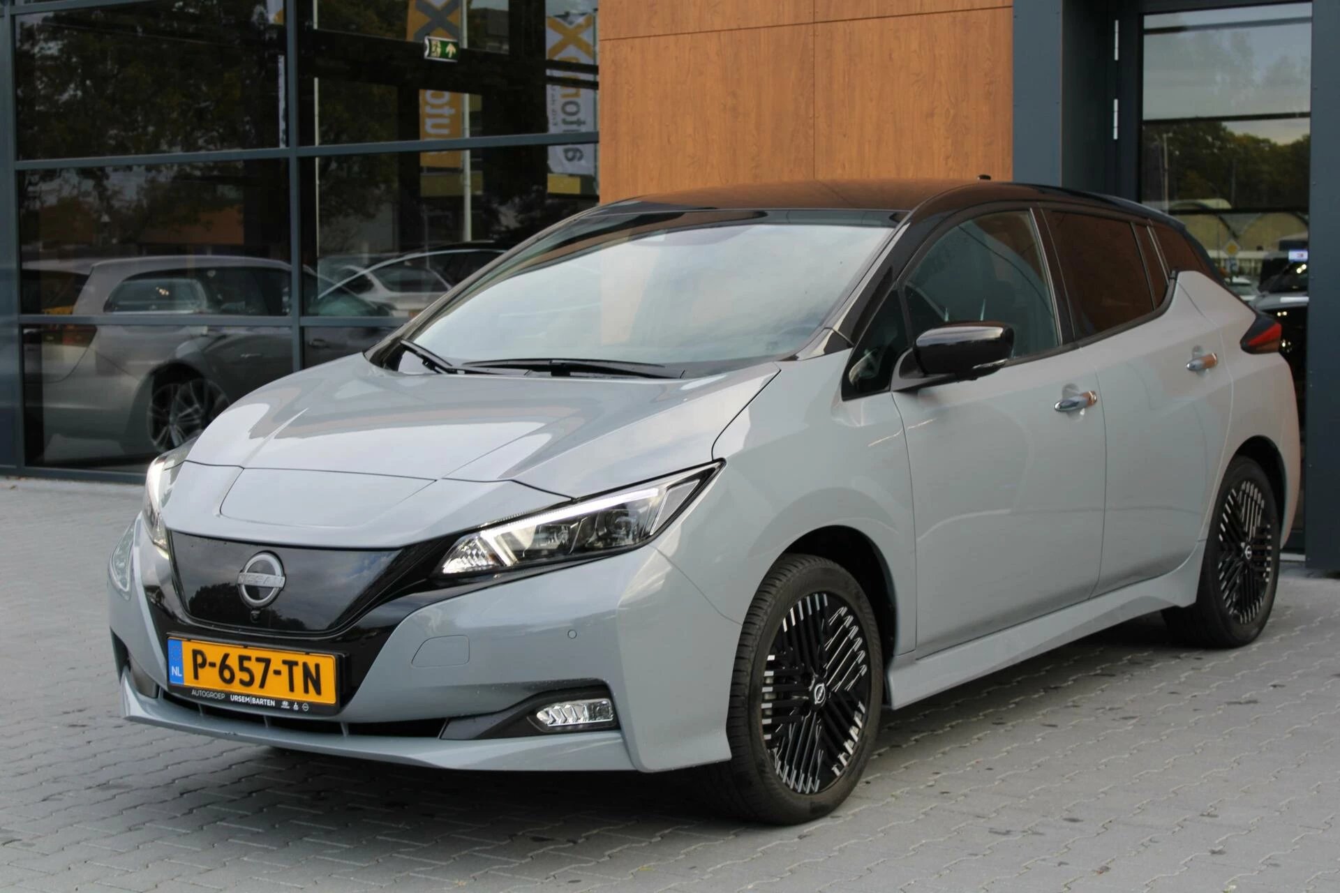 Hoofdafbeelding Nissan Leaf