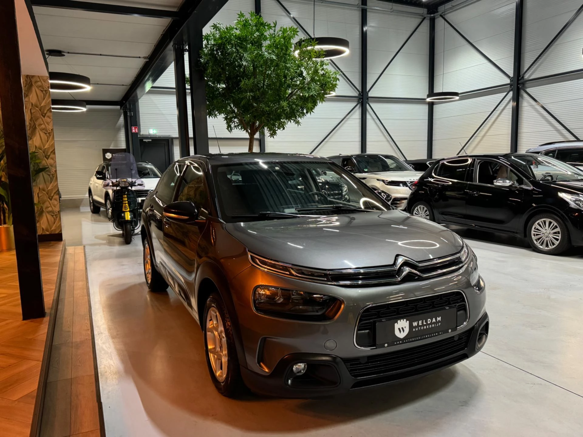 Hoofdafbeelding Citroën C4 Cactus
