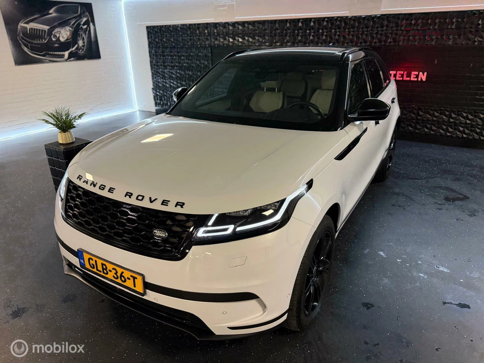 Hoofdafbeelding Land Rover Range Rover Velar