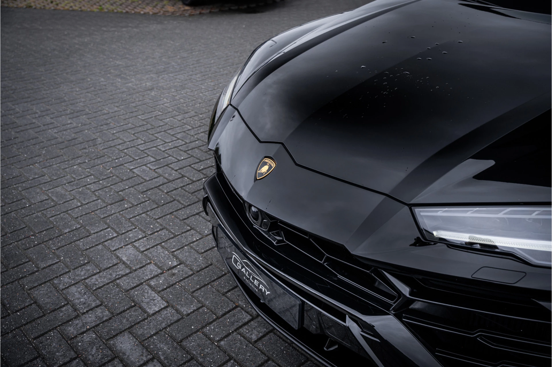 Hoofdafbeelding Lamborghini Urus