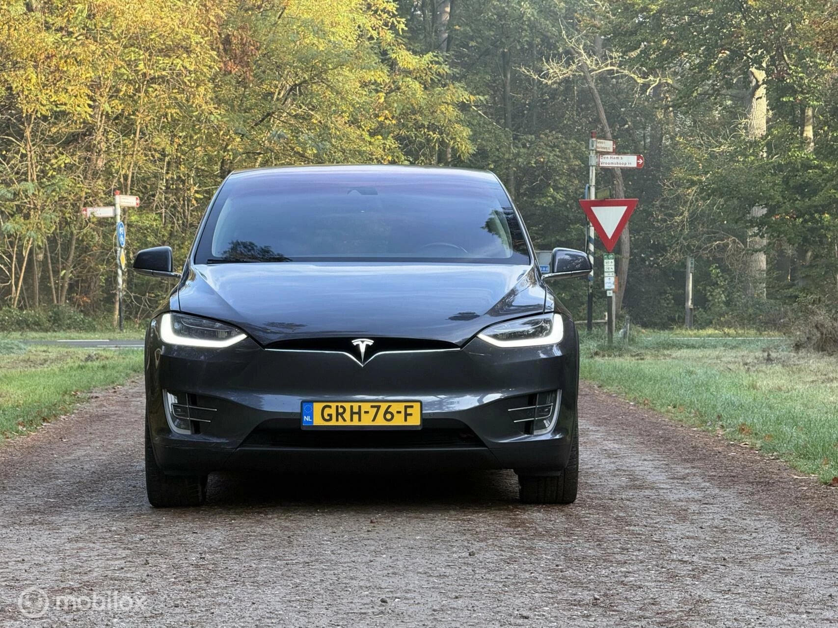 Hoofdafbeelding Tesla Model X