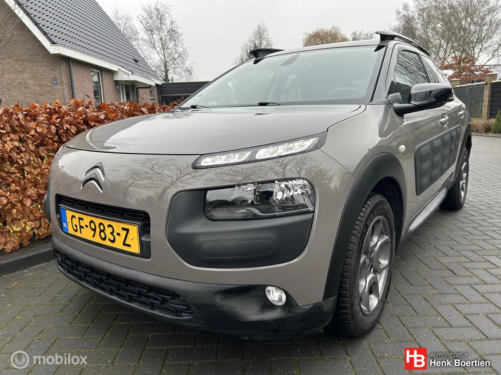Hoofdafbeelding Citroën C4 Cactus