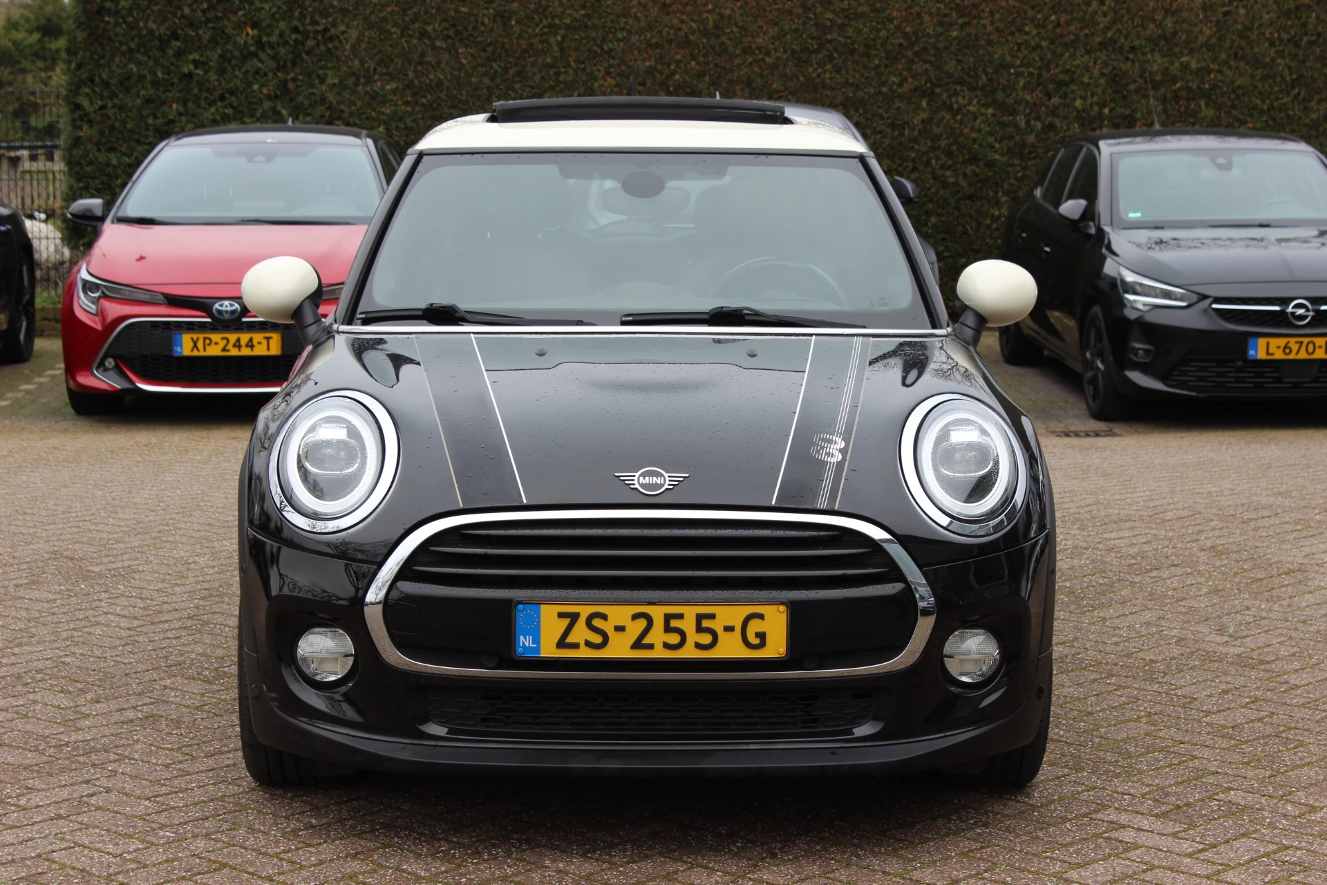 Hoofdafbeelding MINI Cooper