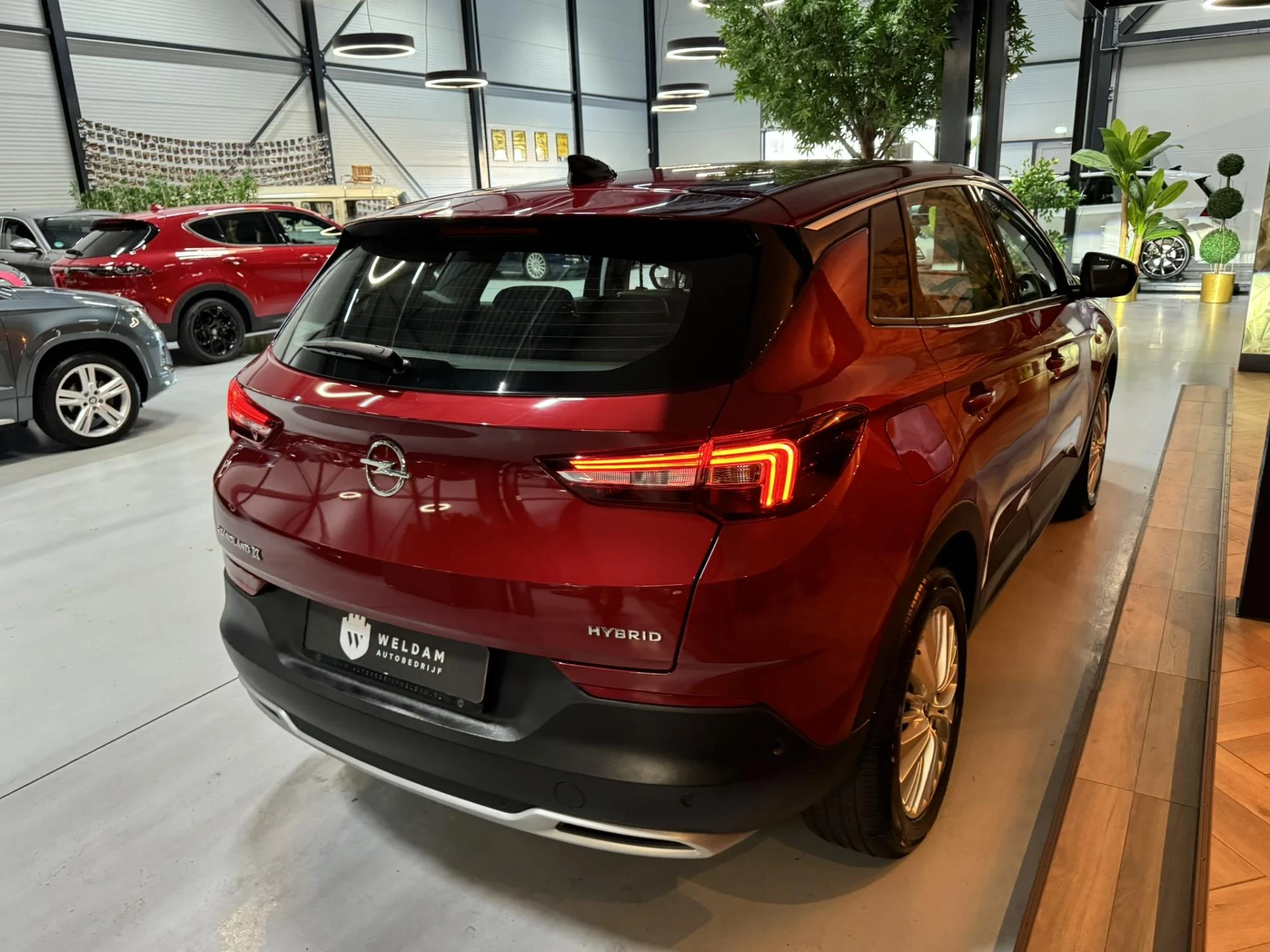 Hoofdafbeelding Opel Grandland X