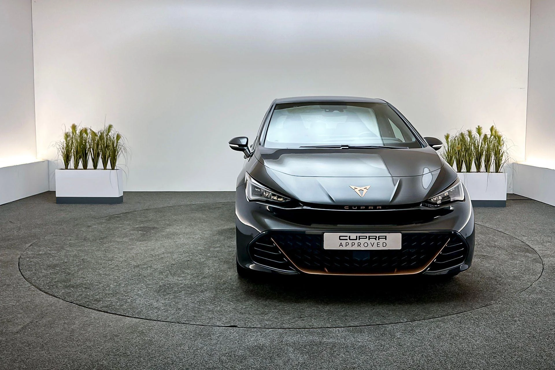 Hoofdafbeelding CUPRA Born