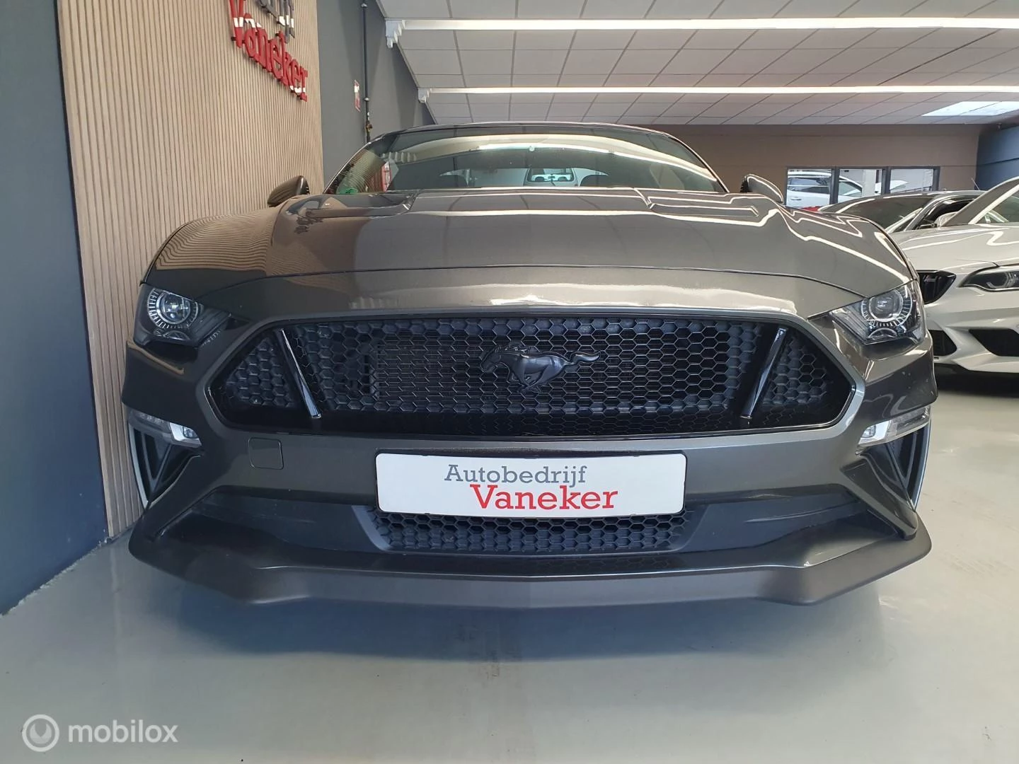 Hoofdafbeelding Ford Mustang