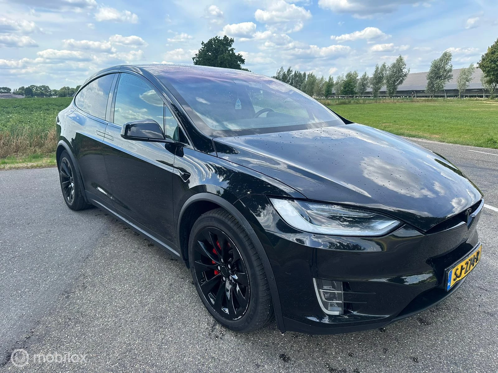 Hoofdafbeelding Tesla Model X