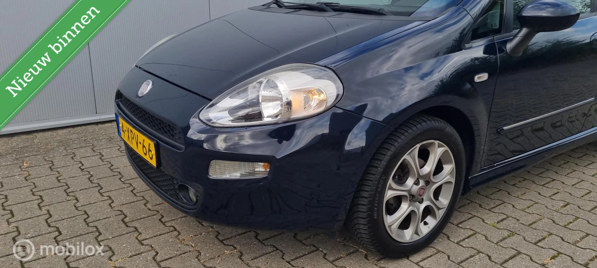 Hoofdafbeelding Fiat Punto