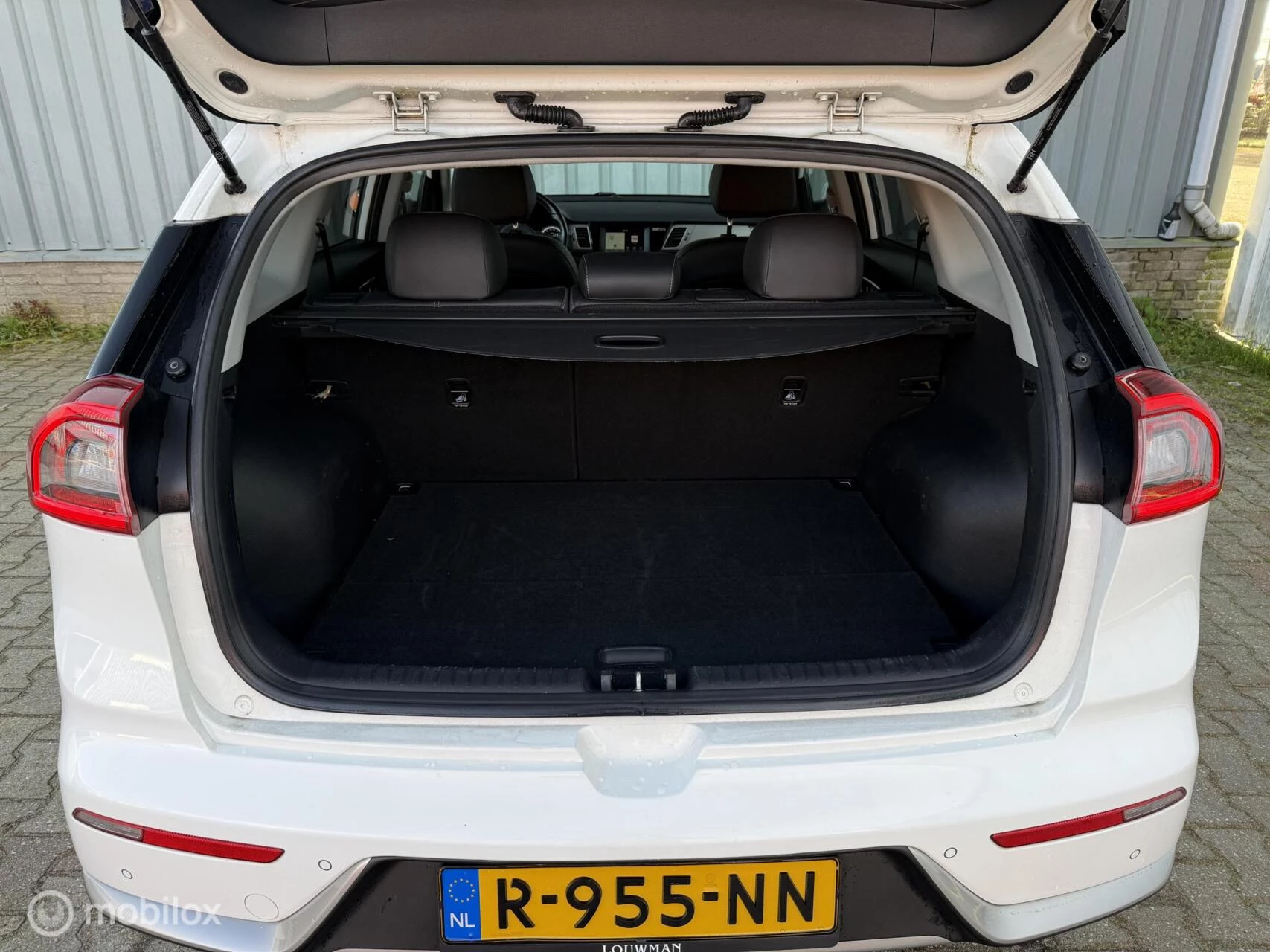 Hoofdafbeelding Kia Niro