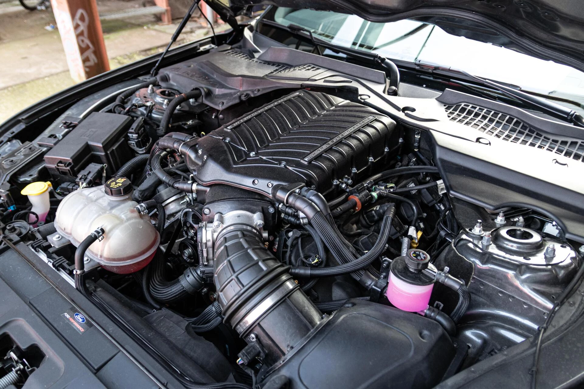 Hoofdafbeelding Ford Mustang