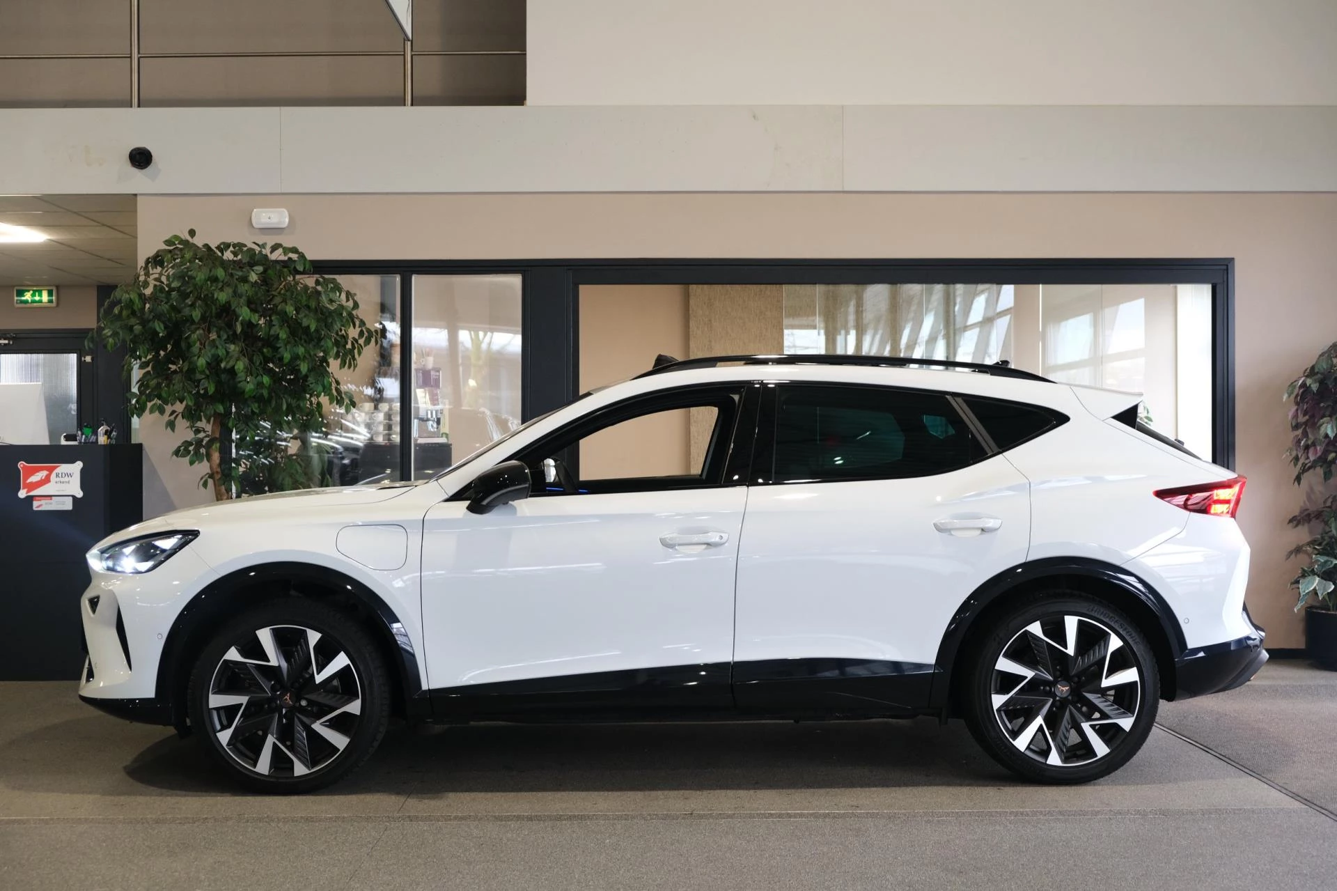 Hoofdafbeelding CUPRA Formentor