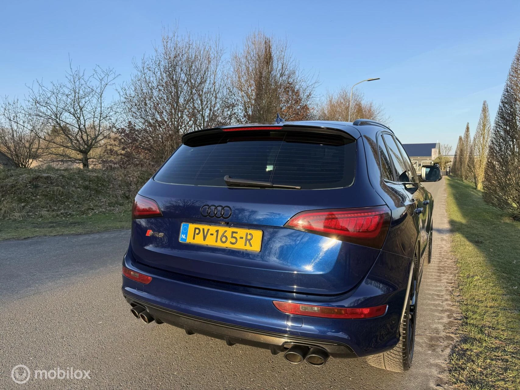 Hoofdafbeelding Audi SQ5