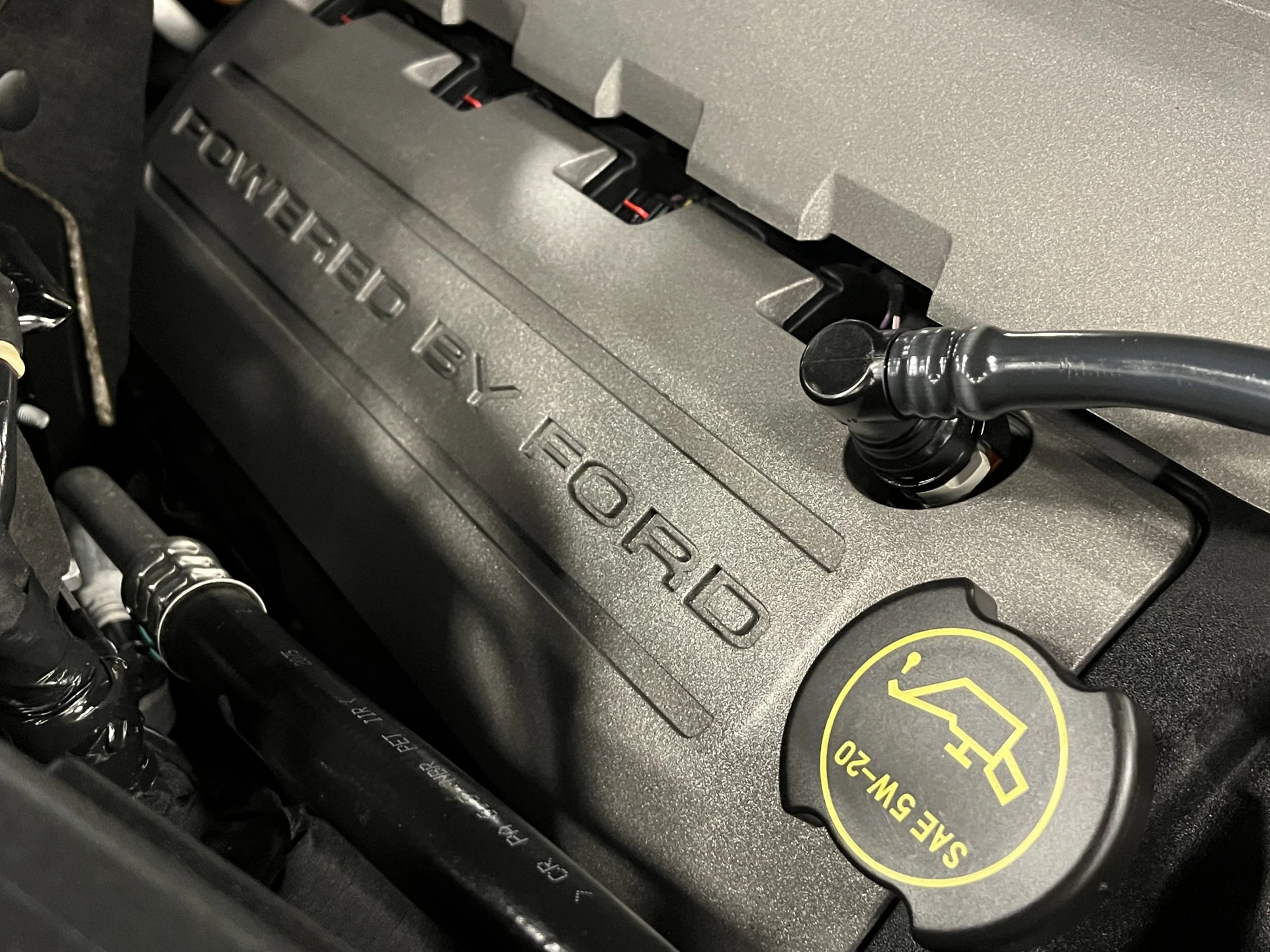 Hoofdafbeelding Ford Mustang